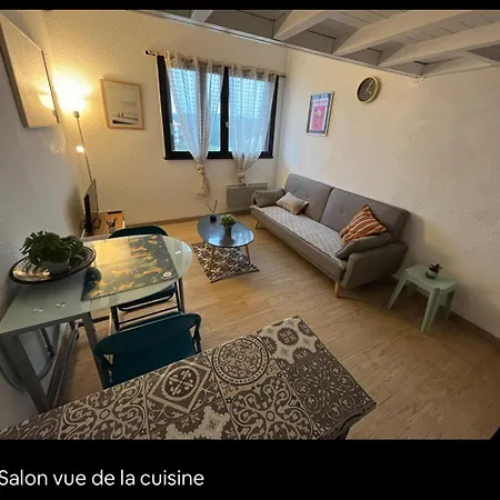 En Duplex A 50m De La Avec Wifi *