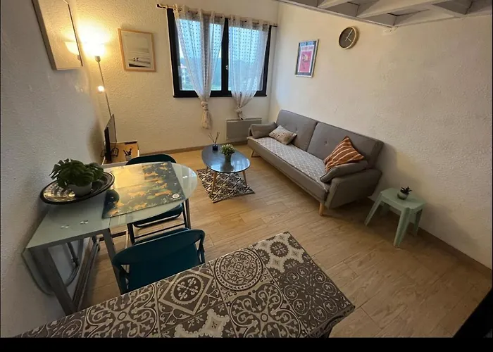 En Duplex A 50m De La Avec Wifi *