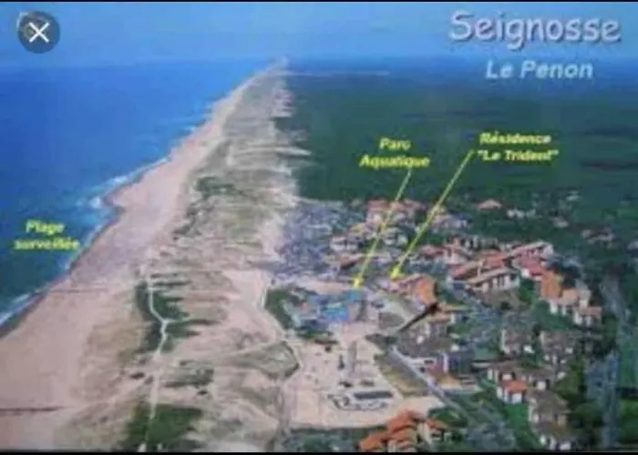 En Duplex A 50m De La Avec Wifi Daire *