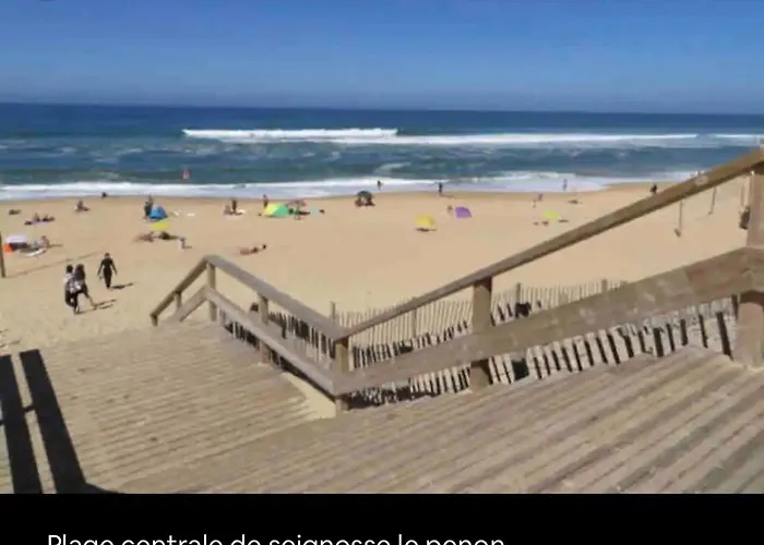 Daire En Duplex A 50m De La Avec Wifi *